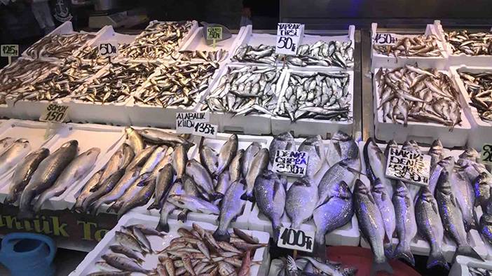 Palamutta da hile! Farkları tek tek sıraladık: Balıkçılar vatandaşı kandırıyor! 3